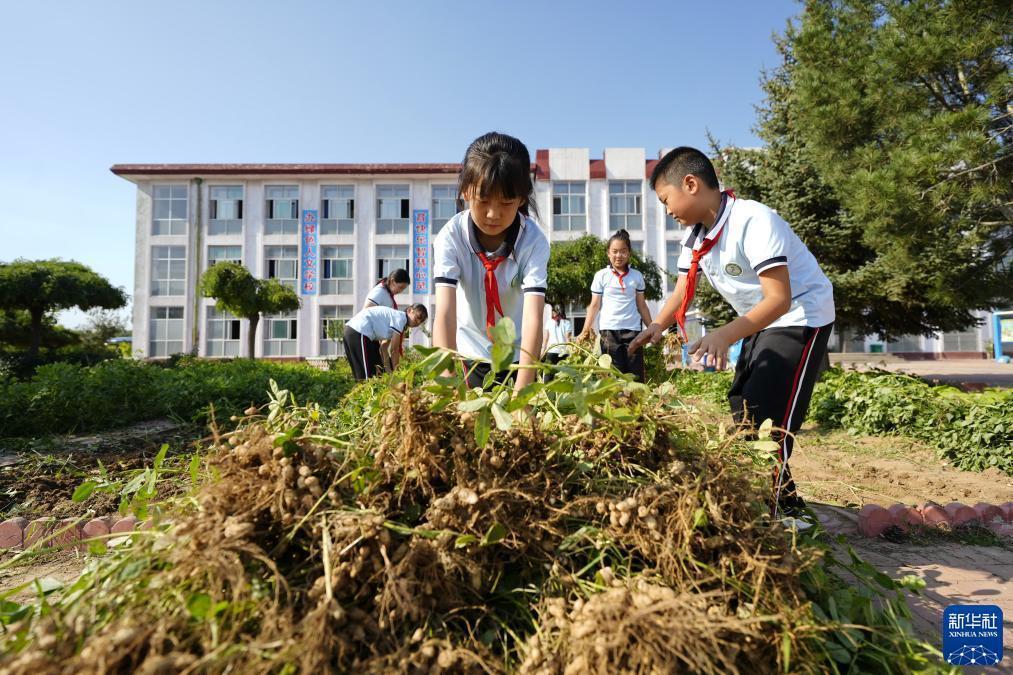 新澳门天天彩资料大全2025年资料